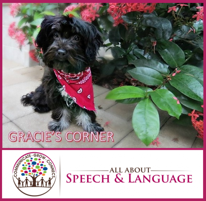 Gracie's Corner! All About Speech & Language All About Speech