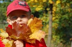 Occupational Therapy Fall Activities for Home